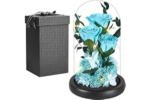 PISKEKAT Real Rosa Eterna en Cúpula de Cristal, Mujer Regalo Cumpleaños, La Bella y La Bestia Rosa Preservada Flor, San Valentin Aniversario Madre Regalo Mamá Esposa Novia Abuela Regalo