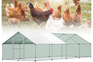 Froadp Klatka Zagroda Zewnętrzna dla Kurcząt Wybieg dla Kurcząt z Wolnym Wybiegiem Ocynkowana Rama Stalowa z Osłoną Przeciwsłoneczną PE Woliera Pomieszczenie dla Drobiu Małych Zwierząt (3x8x2m, 24㎡)