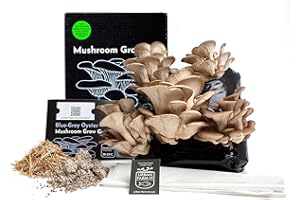 Urban Farm-It Mushroom Growing Kit (XL Blue-Grey Oyster) | Gardening Gift for Women, Men & Kids | Code to Claim Free Spawn & Begin Growing When Ready | Fun, Educational, Easy to Use & Delicious to Eat