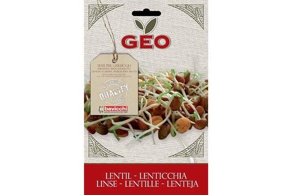Geo Graine à Germer Lentille Brun 12,7 x 0,7 x 20 cm