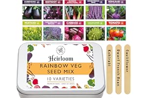 THE LITTLE TREES BEES & SEEDS COMPANY Rainbow Vegetable Seeds for Gardening, 10 Easy Sow Seed Varieties, 10 Plant Markers & Growing Guide - Gifts for Adults & Kids,Little Trees Bees & Seeds Co
