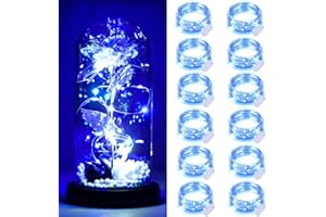 Dufuso Lot de 12 Guirlande led à pile, 2m 20 LEDs Mini Guirlande Lumineuse Intérieur IP65 Étanche pour Interieur Exterieur, Vacances, Mariage, Fête, Noël - Bleu