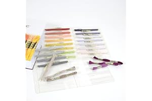 DMC - Pochette de Rangement perforée en Plastique, Accessoire de Rangement idéal pour Ranger Ses Fils à Broder