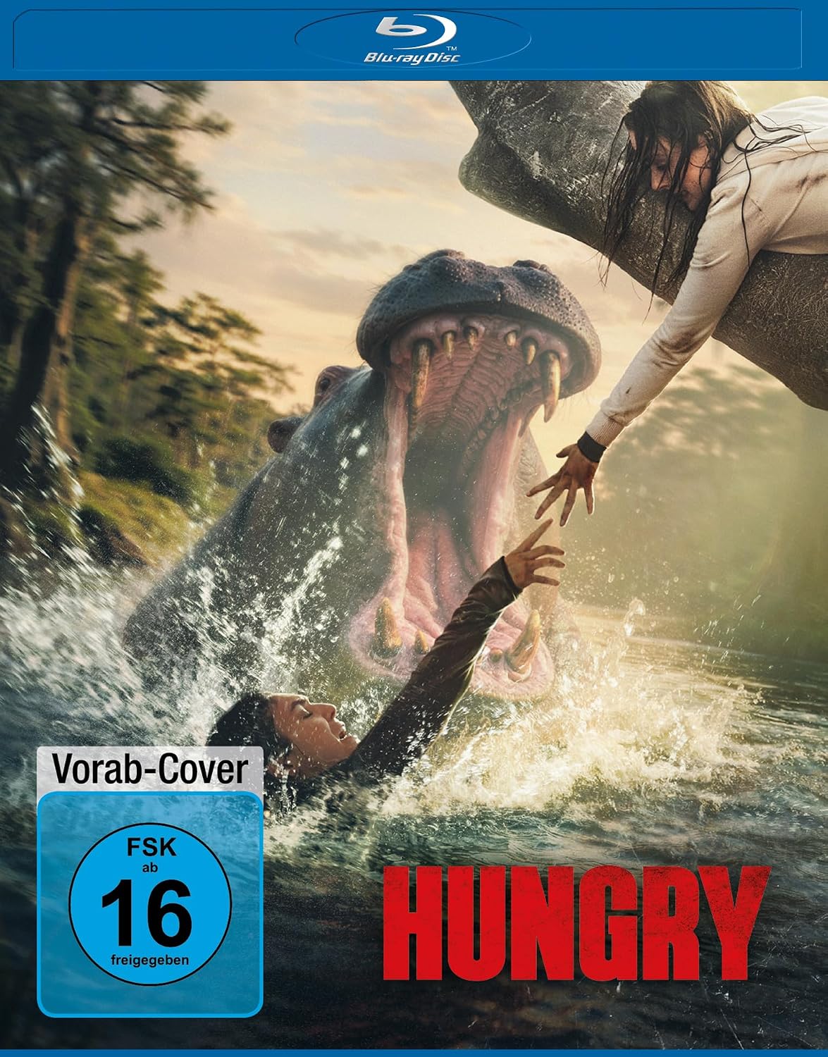 Vue 10