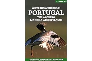 Where to Watch Birds in Portugal, the Azores & Madeira Archipelagos
