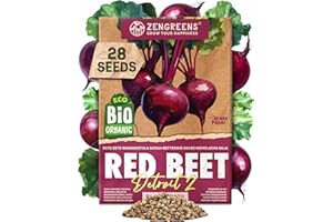 ZenGreens® - Nasiona buraka bio – nasiona buraka – nasiona warzyw do łatwej uprawy w ogrodzie, na balkonie lub w podwyższonej grządce – nasiona warzyw – burak – Detroit 2