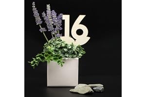 3DP SIGNS - Set Numeri Tavoli da Vaso in legno [VN01] - Segnatavolo design per ristoranti e bar. Segnaposti matrimoni ed eventi. (Set 1-30)