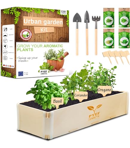 Kit Prêt à Pousser Herbes De Provence - Graines Bio 100% Françaises - Cadeau Jardinage Intérieur - Sarriette, Romarin, Thym, Basilic, Origan
