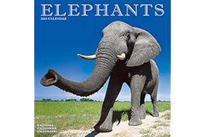 Elephants Calendar 2024 | Square Wildlife Safari Wall Calendar - 16 Month