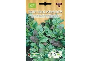 Germisem Schnittsalat BABY LEAF ASIAN MIX, ECBIO6022