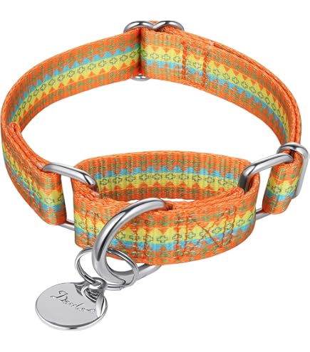 Dazzber Martingal Halsband Für Hunde – Einstellbar, 2,5 Cm Breit, Weiches Polyester, Größe L (45-64 Cm)