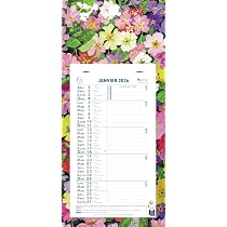 Calendrier Mensuel 2026 Exacompta Mini Labo - 12 Feuillets Détachables 15.5x28.5cm, Support Plaque, Fabriqué En France