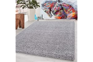 BPIL EXTRA THICK HEAVY 5CM PILE SOFT LUXURIOUS SHAGGY MODERN AREA BEDROOM HALL RUG RUNNER MAT SMALL - XX LARGE (Silver, 120X170CM)