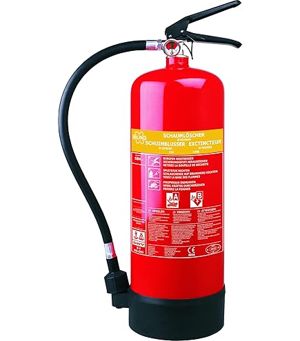Estintore Polvere Abc Estintore Schiuma ELRO SB2 2 Litri - Per Auto Casa Caravan Professionale Estintore Con Manometro - Foto 7