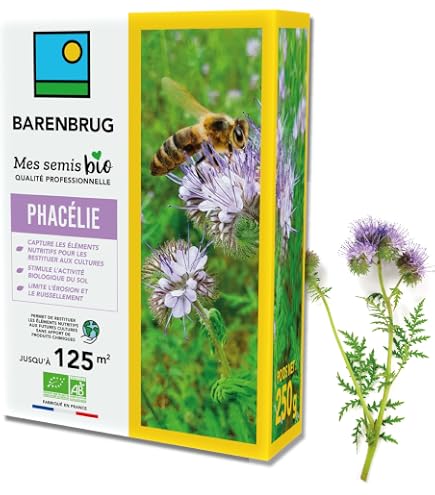 50 graines Fleurs à semer - Le Grenier d'Abondance - FICOÏDE