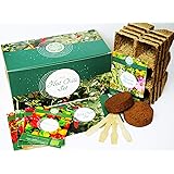 Bio Chili Anzuchtset - Züchte mit deinem Chili Anbauset 4 Sorten Chilis aus Bio Chili Samen- Eine einzigartige Geschenkidee -