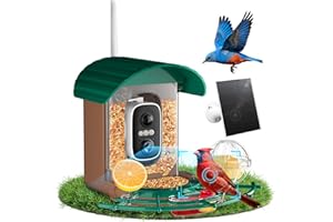 NIORSUN Mangeoire à Oiseaux avec Caméra 2K, Solaire, Reconnaissance IA des Oiseaux, Vision Nocturne Couleur Mangeoire Oiseaux Exterieur IP65 Notification Instantanée & Enregistrement Automatique