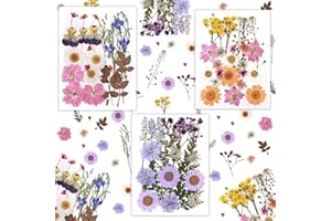 HAPLOS Flores Secas Prensadas, 66 Naturales Flores Prensadas Secas, Manualidades DIY Repujado, Flores Secas Decoracion, para Resina, Arte de Uñas, Decoraciones, Marcapáginas, Velas, Joyas