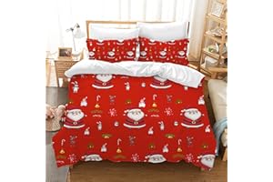 HZVRTN Set di biancheria da letto di Natale in microfibra, copripiumino con chiusura lampo e 2 federe per bambini, regali per bambini (Natale E, 135 x 200 cm)