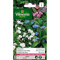 Muflier Goupil Varie Série 1 Sachet Graines 0,8 G - Vilmorin