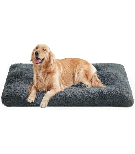 Lit orthopédique Hovicaed pour grands chiens, matelas mignon en mousse imperméab