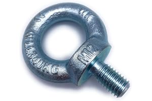 BEFESTIGUNGSTECHNIK F.R. Ringschraube galvanisch Verzinkt C15 - M12 - Traglast: 340kg - 5 Stück - [ Größe Wählbar ] Kranöse Zurröse Ösenschraube Augenschraube Augenbolzen Ringbolzen ähnl. DIN 580 (M12)