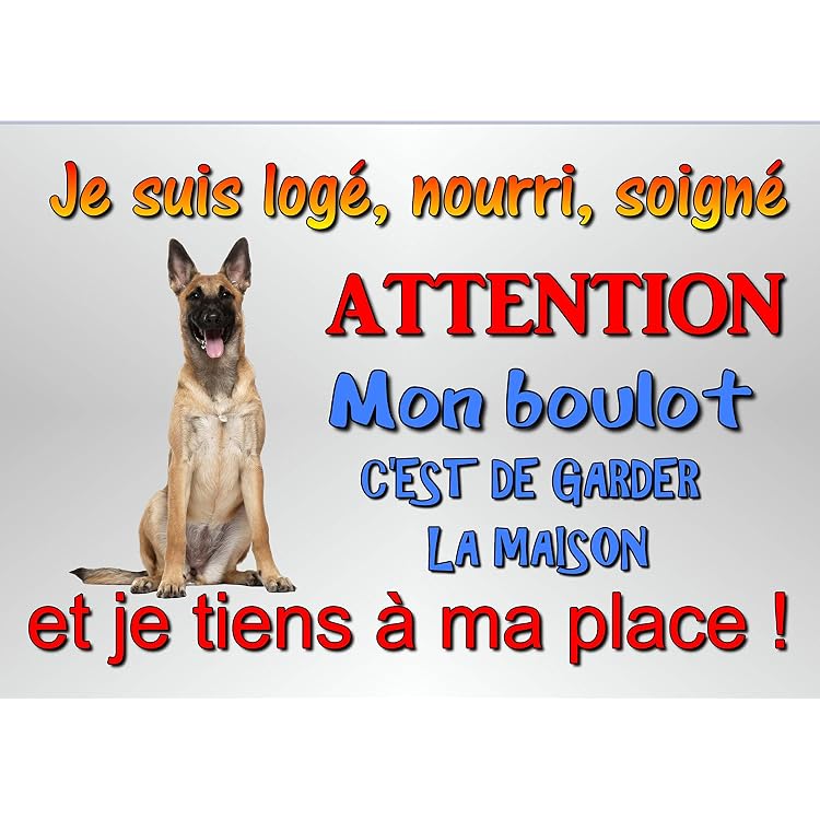 Plaque 'Attention Chien Labrador En Liberté' 15x20 Cm - Aluminium Personnalisable | Humour Et Prévention Pour Entrée Maison - 6