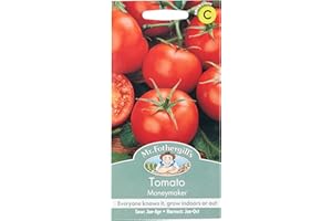 MR FOTHERGILLS Mr Fothergill's 19259 Vegetable Seeds, Tomato Moneymaker, green