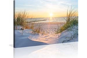 Visario 120 x 80 cm Bild auf Leinwand Dünen Nordsee Ostssee 5009 deutsche Marke und Lager, fertig gerahmt.