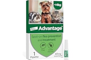 Advantage Spot On Flea Treatment For Cats, Dogs and Rabbits Under 4kg (1 pipette, 40mg), Kills Fleas Within 24 Hours, Prevents Further Infestation For Up To Four Weeks in Cats and Dogs