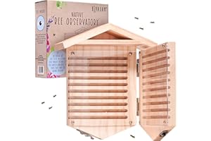 Rivajam Native Bee Observatory | Mason Bee Houses for Pollinating Bees | Pollinator Bee Houses for The Garden Lover | Leaf Cutter Bee Home | Unique Gardening Gifts