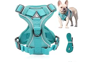 ZEACCT Arnes Perro Grande Mediano, Arnés Antitirones Reflectante, Arnés de Soporte con Asa y Correa, Sin Tirón Malla Suave , Chaleco Acolchado Ajustable para Adiesreamiento CorrerTamaño(M)