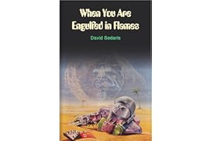 When You Are Engulfed In Flames