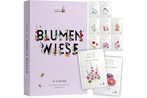GENTLE NORTH Blumen Samen Set - 10 bunte Blumensamen Sorten für den Garten oder Balkon, die Bienenweide und Wildblumenwiese - Blumenwiese Samen - bunte Wildblumensamen Mischung