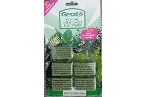 ACQUAVERDE 30 Bastoncini gesal stick fertilizzante 1 confez concime lenta cessione per piante verdi per appartamento e balcone