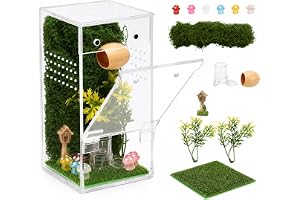Yahusuhil Springspindel, terrarium, 7,5 x 7,5 x 15 cm, säker jumpning, spindel, upplåsning och miniterrarium, förmonterad med magnetdörr, mikroventilation och tillbehör för spindlar, mans