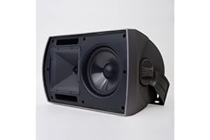 Klipsch AW-Team Lautsprecher, Schwarz