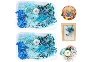 yeemeen Fiori Secchi Pressati Naturali, 2 Scatole Fiori Secchi Misti, Fiori Pressati per Resina per Fai da Te Ciondolo Casse del Telefono Album di Ritagli Fiori d'Arte Decorazione(Blu)