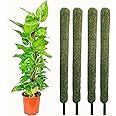 Nayra Plant Support Moss Stick(2Ft Pack of 4)- Green Grass Pole for Plants Support, Support Stick for Money Plant, Climbing Indoor Plants