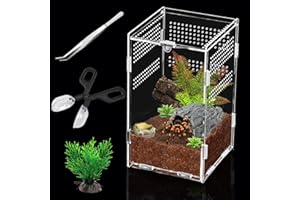 SERTT Insect Feeding Box, Acrylic Reptile Breeding Box, Reptile Terrariums Transparent Reptiles Habitat Vivarium with Feeding Tools, for Spide, Lizard, Scorpion, Beetle, Crickets, Mantis, Geckos,12x12x20cm