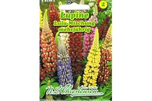 N.L. CHRESTENSEN Lupine Lulu Mischung Lupinus polyphyllus mehrjährig Staude