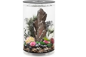 biOrb TUBE 30 Aquarium (Black, 30 Litres), Perfect Beginner Fish Tank With Integrated LED Lights, Quick & Easy To Set Up, 360-Degree View Aquarium With 5-Step Filtration System, Acrylic Base