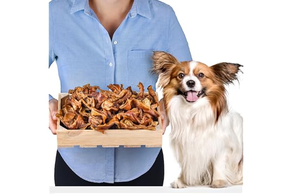 Lovely DOG