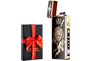 dachance Briquet électrique personnalisable, coupe-vent, rechargeable par USB, double arc pour camping, cadeau de Saint-Valentin (lion)