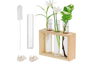 BELLE VOUS Dekoracyjna doniczka do testów szklana ściana wisząca - 4 rurki kwiatowe (1 część zamienna) z drewnianym stojakiem - nowoczesne dekoracyjne wazony stołowe, rozmnażanie roślin, wystrój domu