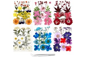 HSAJS 6 confezioni Set di Fiori secchi Fai da Te, Veri Fiori Margherita secchi Naturali Candela Gioielli in Resina Ciondolo chiodo Artigianato Che Fanno Arte Decorazioni Floreali