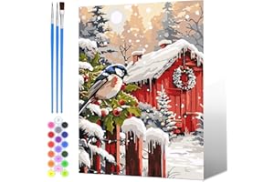 NAIMOER Haus Malen Nach Zahlen Erwachsene, Malen Nach Zahlen Weihnachten für Kinder mit Pinseln Pigment für Anfänger Jungen Mädchen Geschenk Wohndekoration 30x40cm