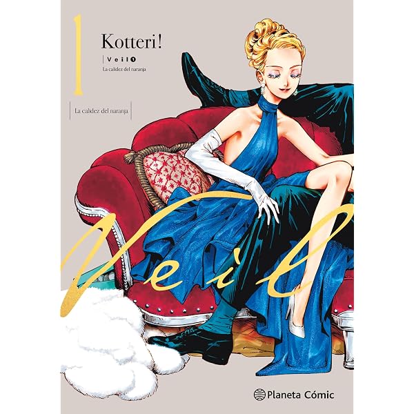 Veil T01 : Kotteri!!: Amazon.fr: Books