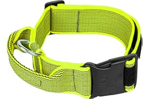 Julius-K9 Collare Color & Gray con Manico richiudibile, Chiusura di Sicurezza ed Adesivi intercambiabili, 50 mm (49-70 cm), Neon-Grigio