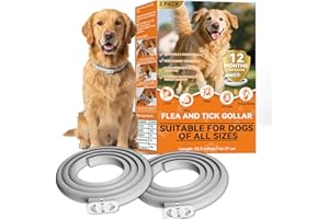 Collar Antiparasitario Perros Impermeable 2PCS, Protección Efectiva contra Pulgas y Garrapatas hasta 8 Meses, Collar Antipulgas Perros Ajustable de 65cm, Ideal para Perros Grandes, Medianos y Pequeños